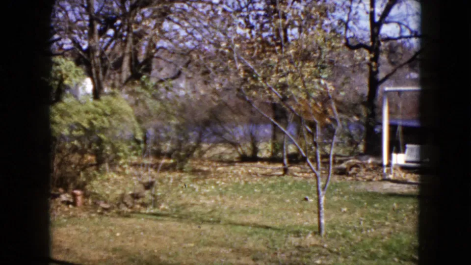 1960 Wauconda, Illinois home-movie frame showing a backyard lawn, small sapling, shrubs, water behind the yard, and a white swing set.