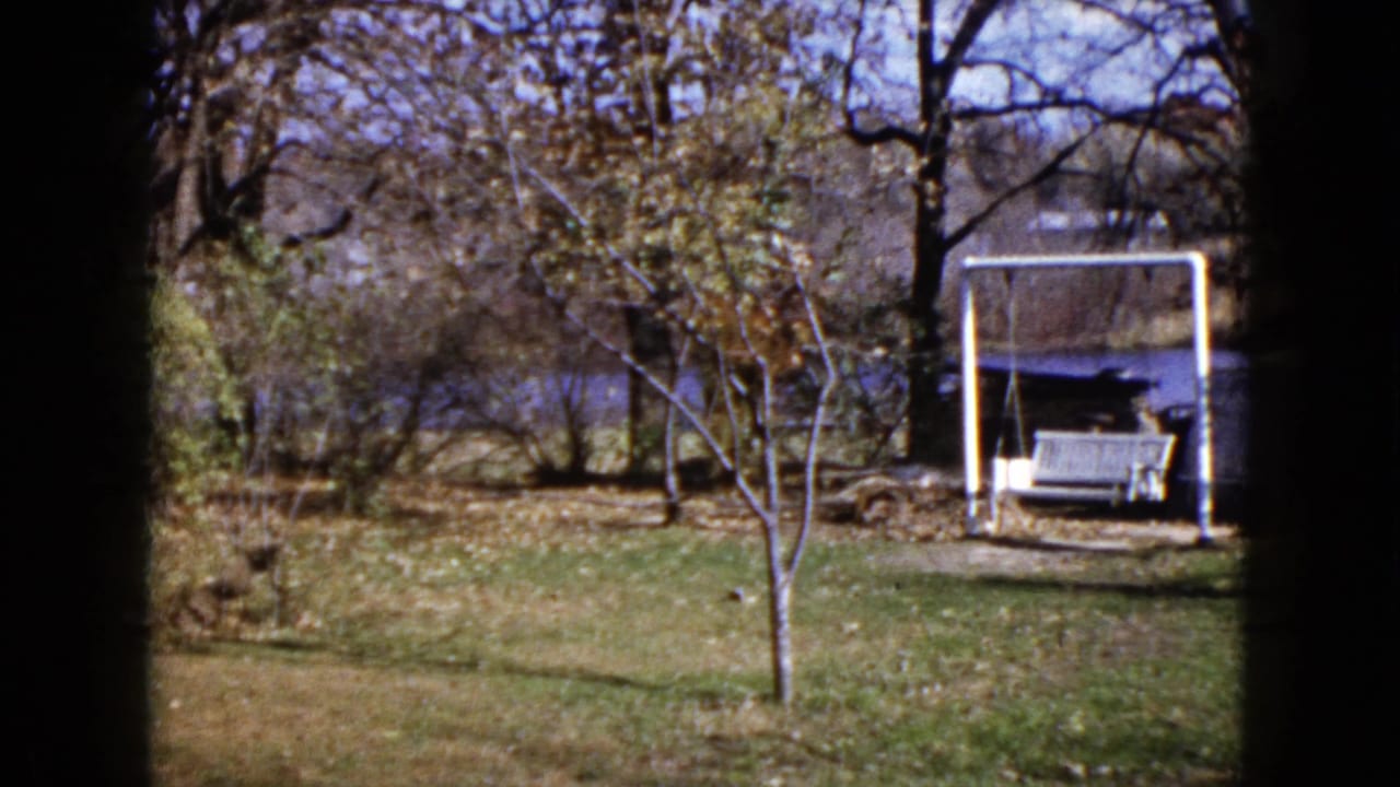 Grassy yard with bare trees, a white swing frame and bench, and water beyond.