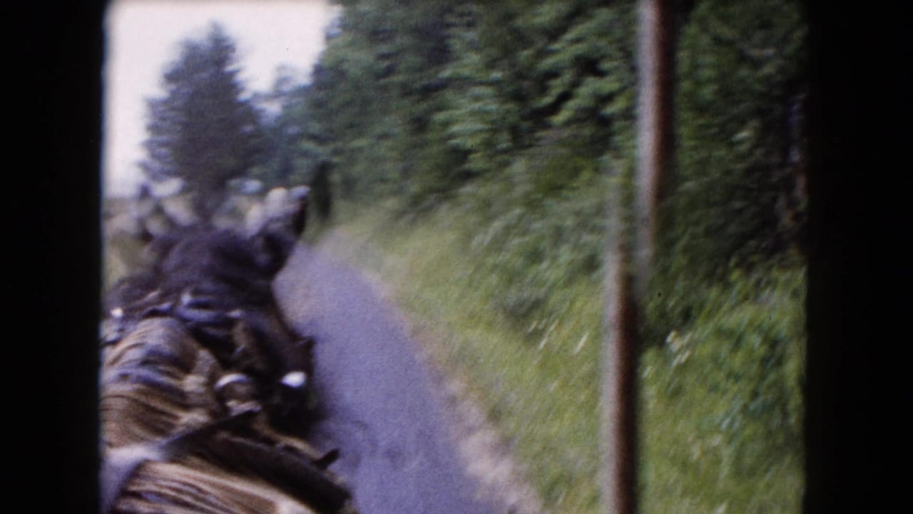1961 Buffalo-area 8mm frame showing a harnessed dark horse from a rider or carriage viewpoint on a rural tree-lined road.