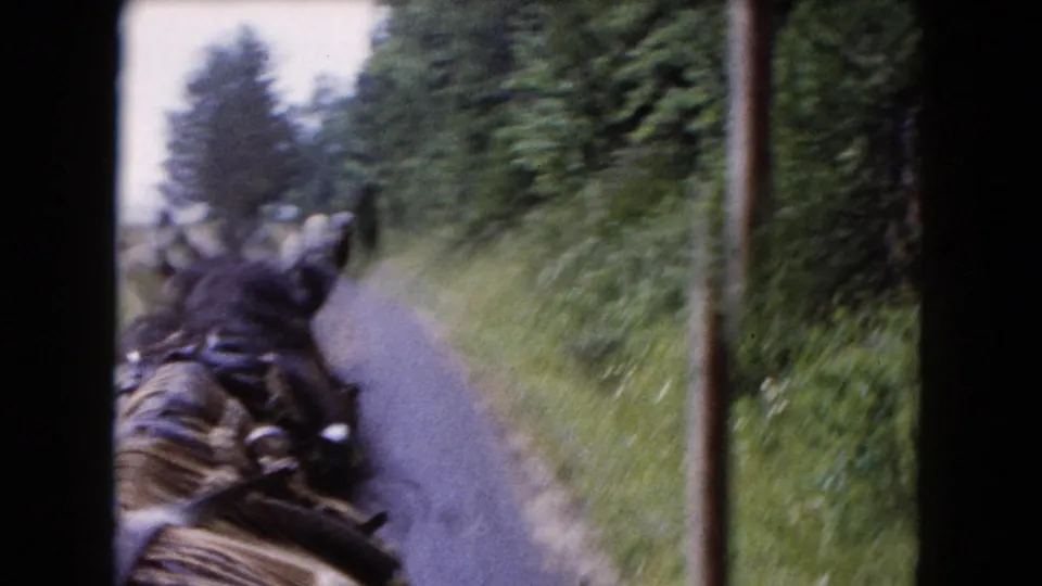 1961 Buffalo-area 8mm frame showing a harnessed dark horse from a rider or carriage viewpoint on a rural tree-lined road.