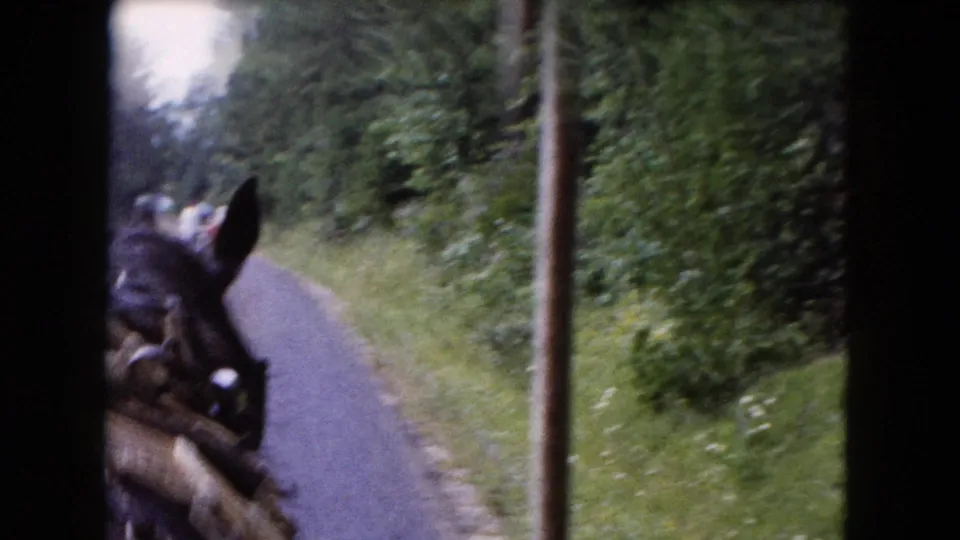 1961 Buffalo-area 8mm frame with the horse and leather harness close to camera on a quiet rural road.