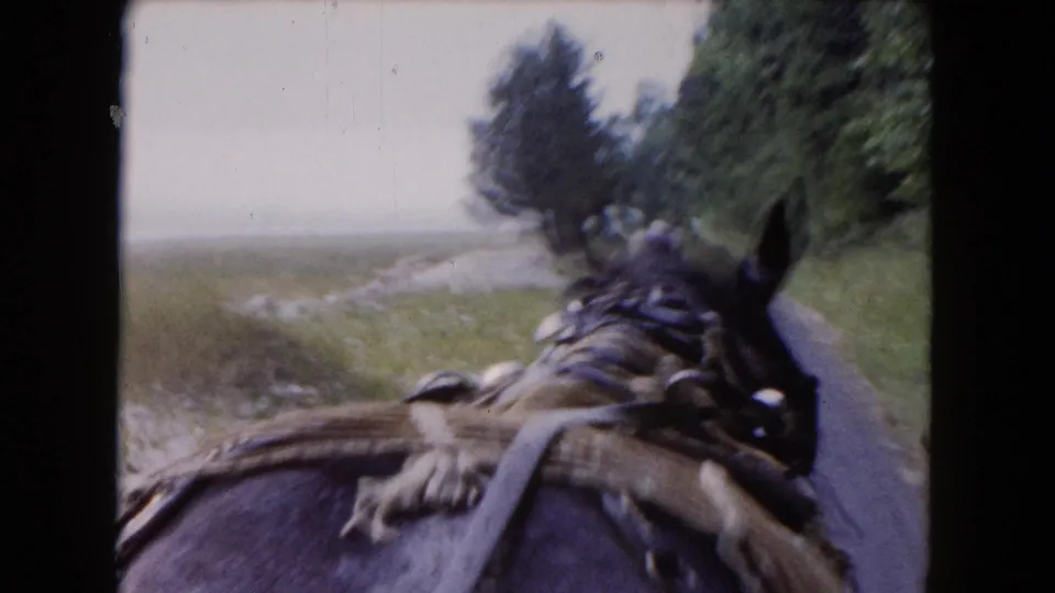 1961 Buffalo-area 8mm frame showing the harnessed horse from behind as the road opens near trees and pale sky.