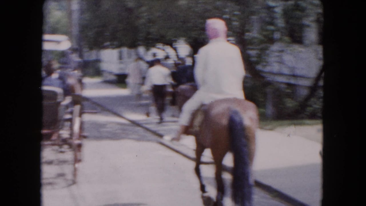 Rider on a brown horse follows a residential street with people and a carriage ahead.