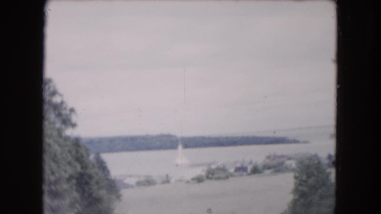 Elevated view across water toward a distant wooded shoreline with trees in the foreground.