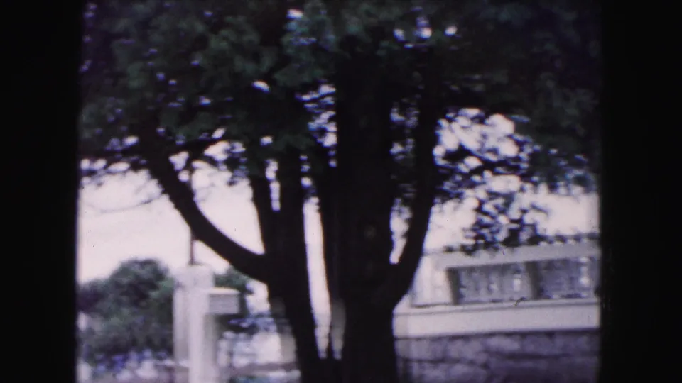 1961 Buffalo-area 8mm frame with mature trees in the foreground, a white porch railing, stone wall, and glimpses of the landscaped property.