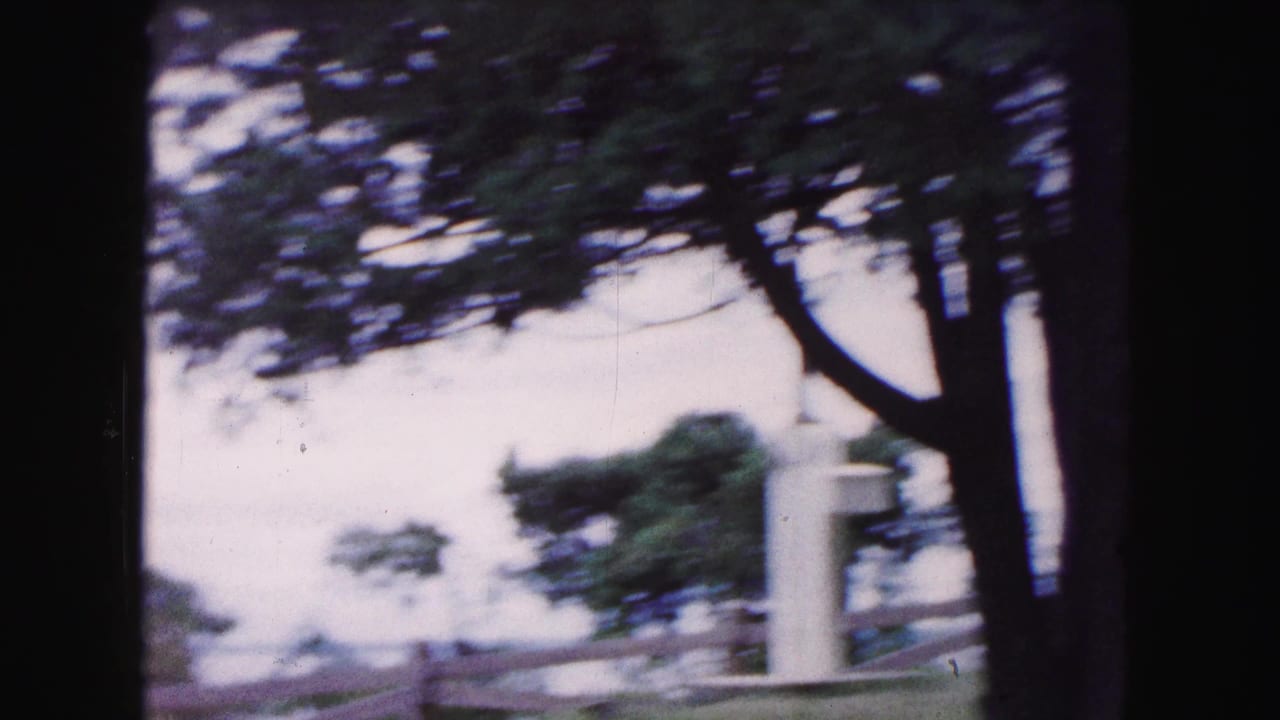 1961 Buffalo-area 8mm frame showing trees, a light-colored post, rail fencing, and water partly visible beyond the slope.