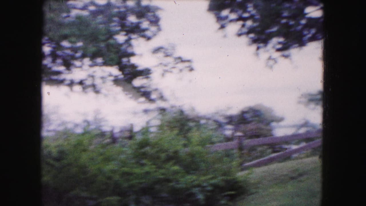 Wooden fence, shrubs, trees, and a pale sky above a sloping lakeside lawn.