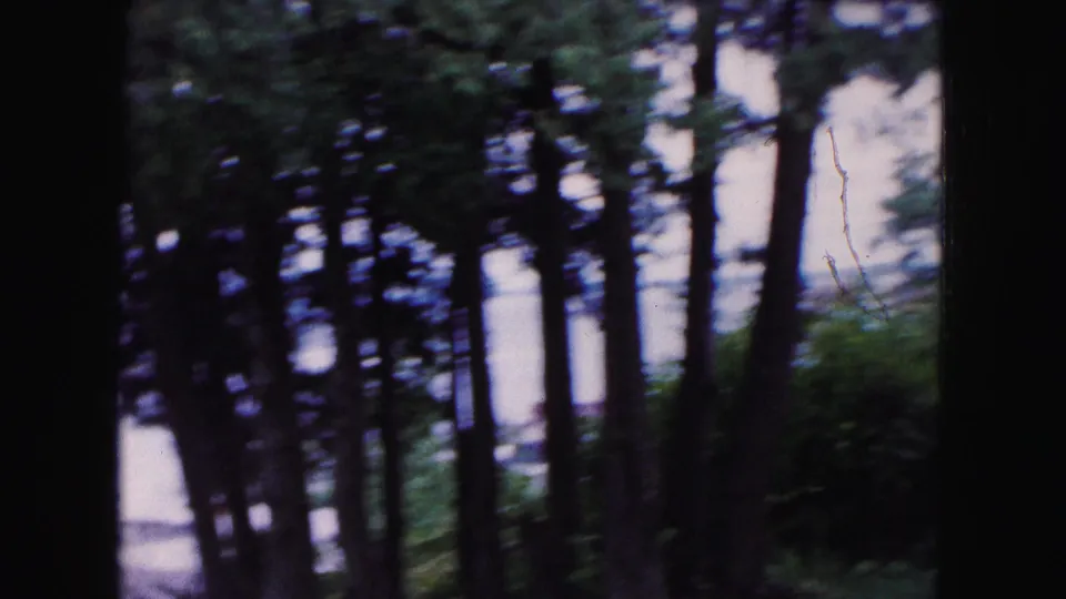 1961 Buffalo-area 8mm frame with dark trees in the foreground, greenery, fence rails, and a partial lakeside view.