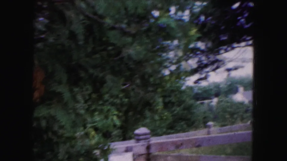 1961 Buffalo 8mm frame showing masonry fence posts, a rail fence, dense trees, and water partially visible behind foliage.