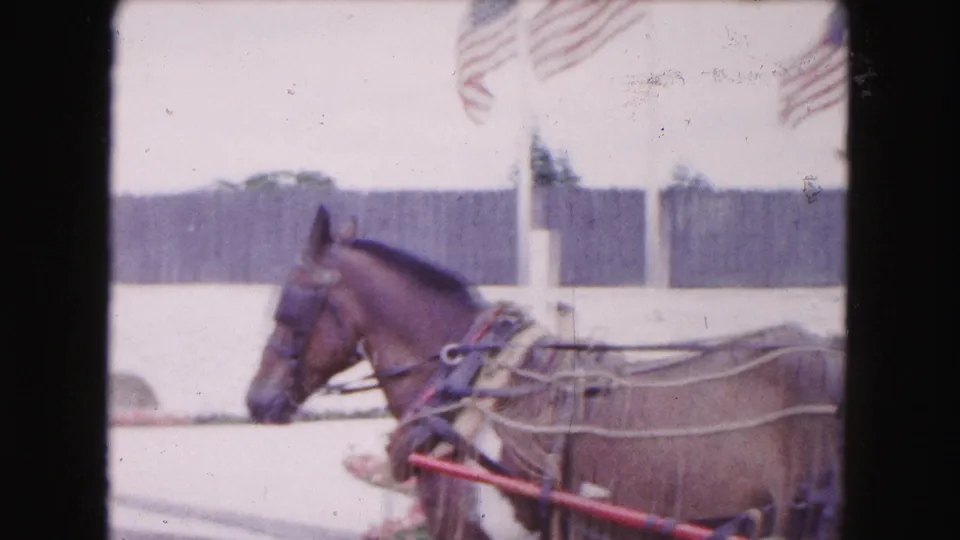 The horse-drawn carriage continues through the outdoor Buffalo scene, with flags, fence panels, and soft 8mm color visible.