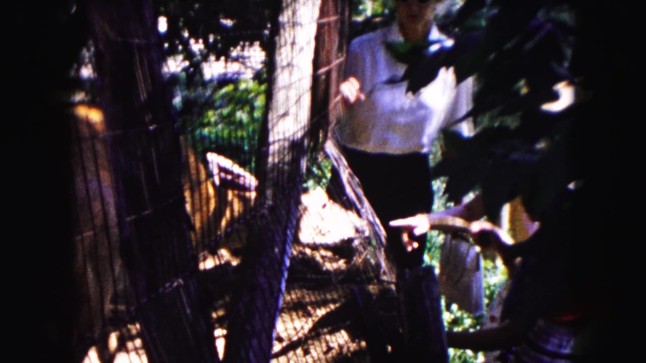 Visitor in a light shirt stands near a fenced wooden animal enclosure.
