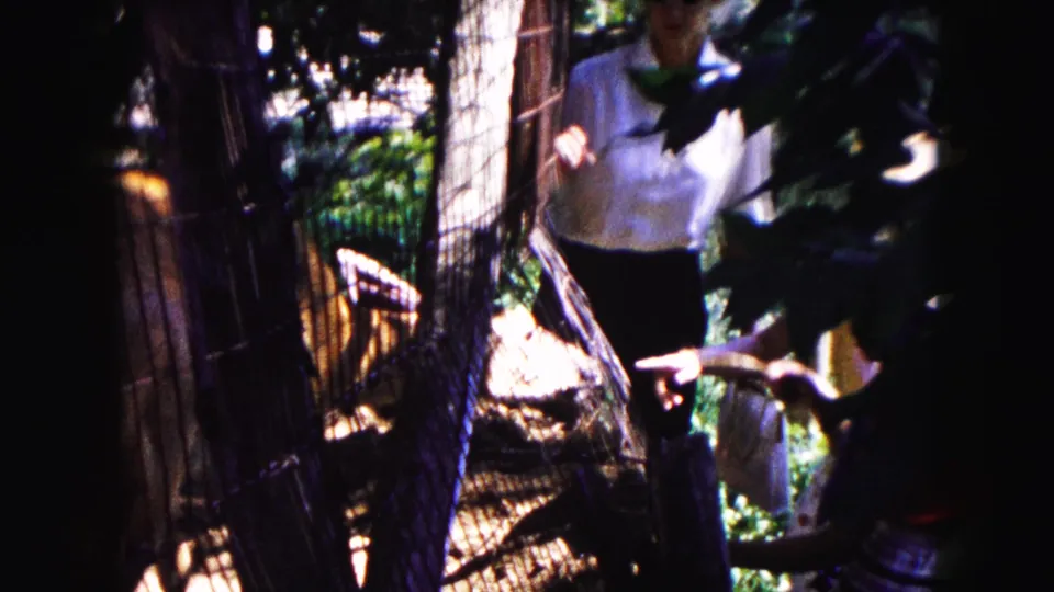 1961 Buffalo home-movie frame showing a visitor near a fenced rustic enclosure, with dark framing and foliage partly obscuring the view.