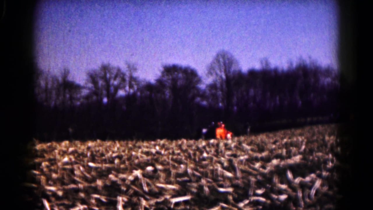 Distant orange tractor in a harvested field with a dark treeline and blue sky.