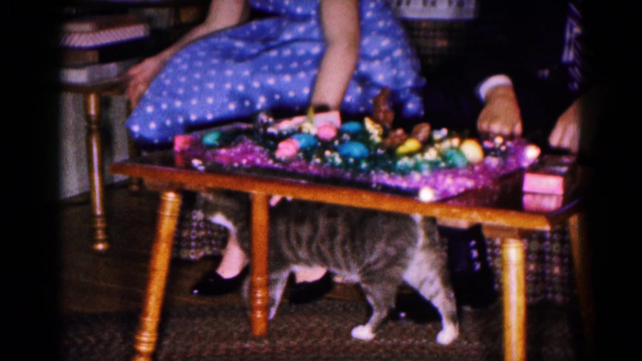 1961 Hagerstown home-movie frame with a seated woman, Easter-decorated wooden table, and grey and white cat beneath it.