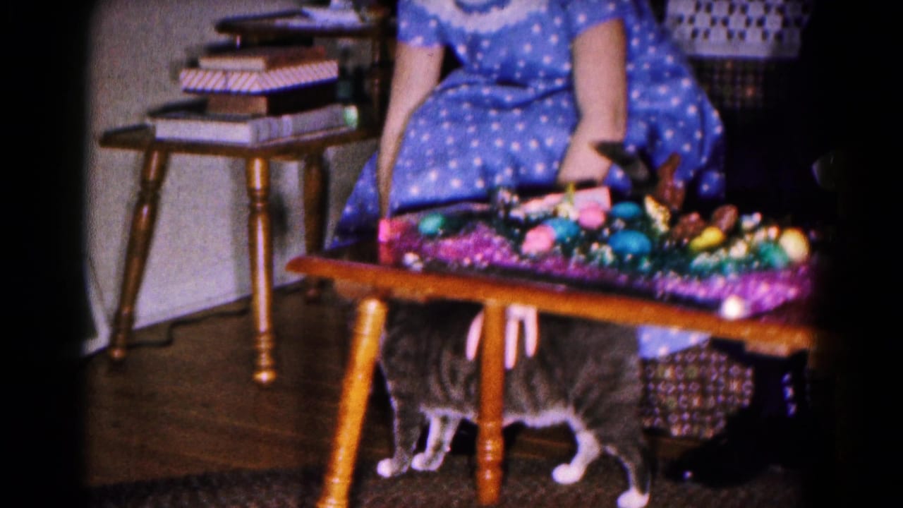 Grey and white cat beneath a decorated wooden table beside a seated woman in a blue polka dot dress.