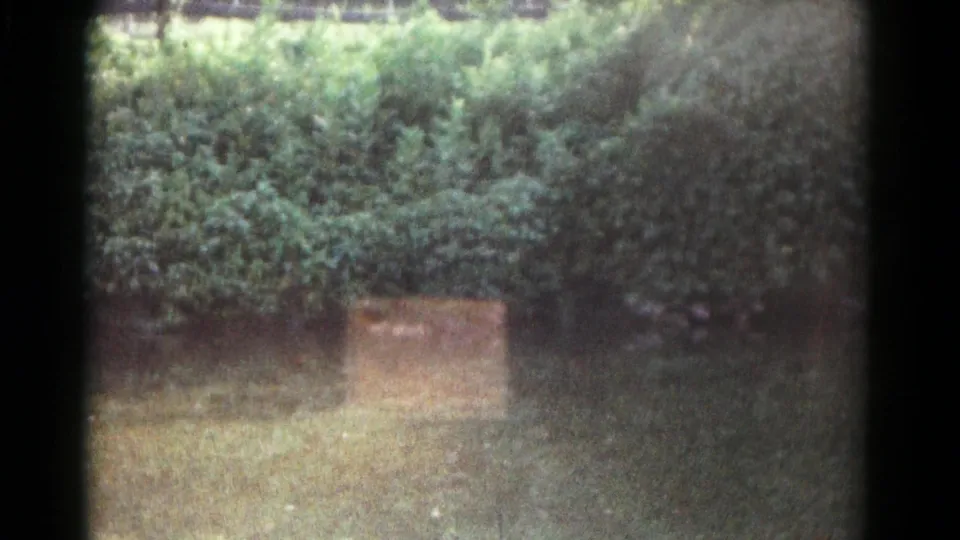 Final frame of the 1961 Hagerstown yard clip, with hedge, lawn, tan object, and faint bird movement within a grainy 8mm frame.