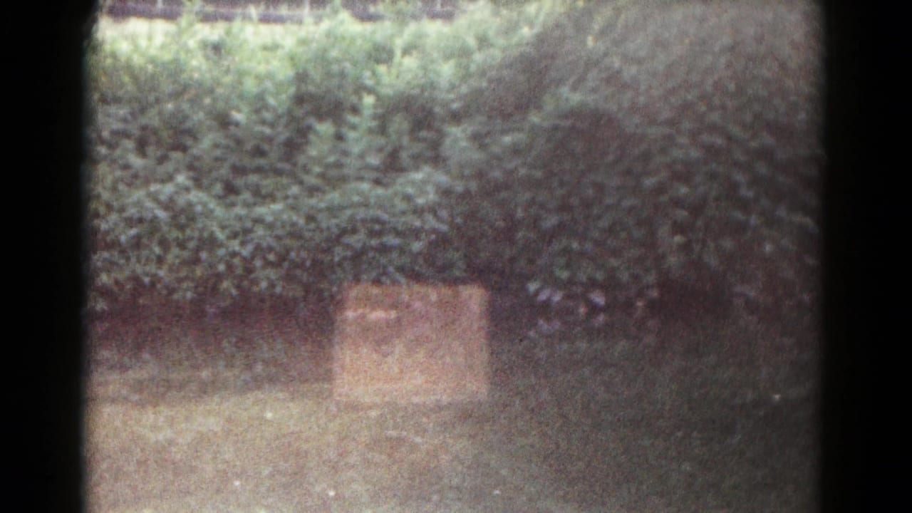 1961 home-movie frame from Hagerstown, Maryland showing hedges, lawn, and a small wooden box or crate before the gathering appears.