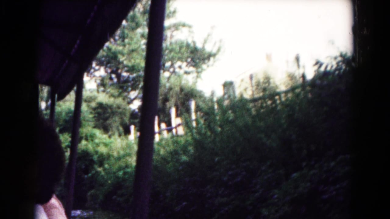View from inside a shaded boat toward marsh greenery and a pale building beyond.