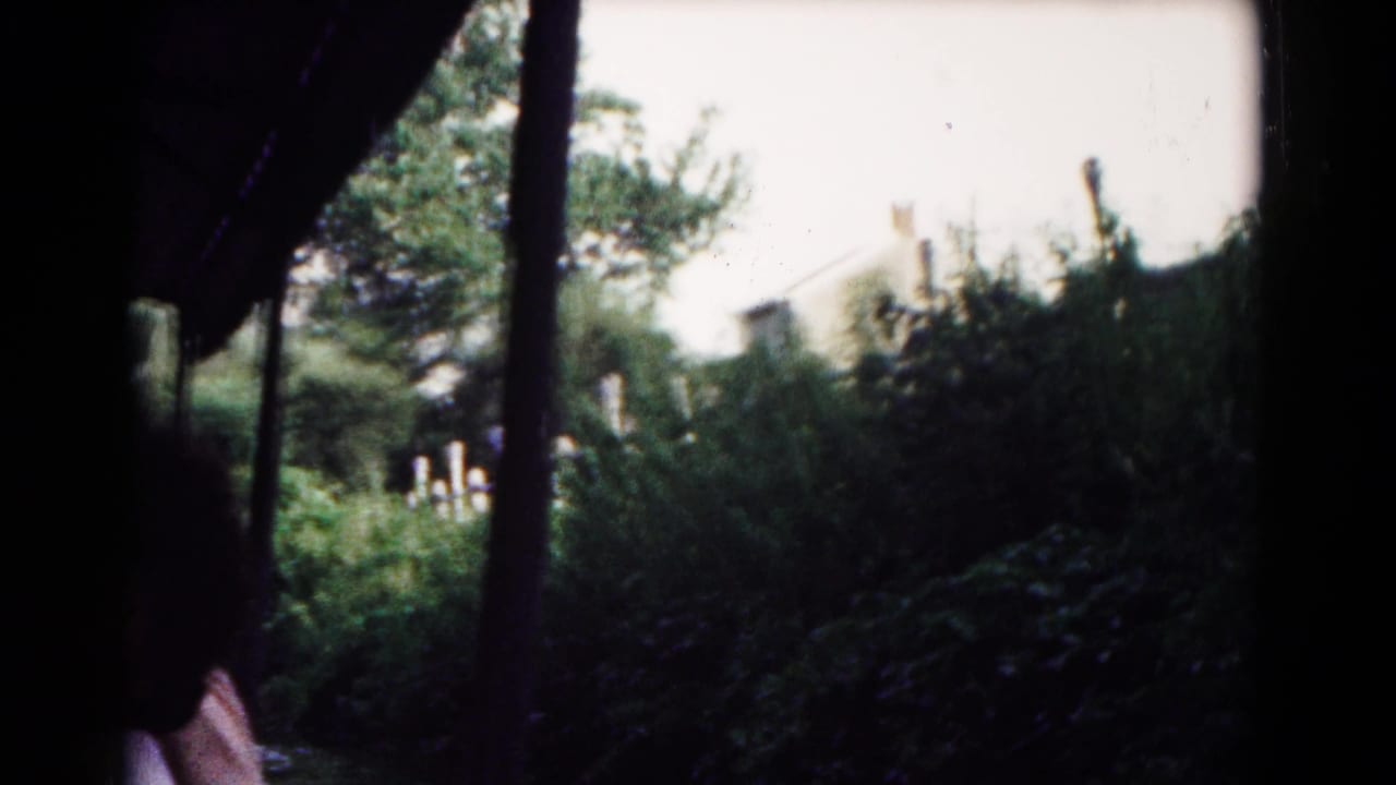 Shaded boat frame with greenery outside and a partial passenger silhouette at lower left.