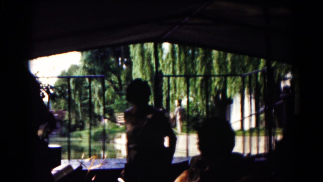 Silhouetted people sit inside a shaded pavilion looking toward a sunny park and willow trees.