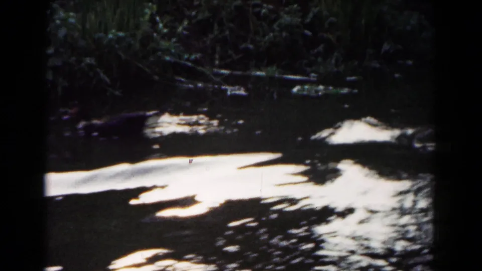 1961 Hagerstown park footage cuts to pond water with reflected sky patches, tree shadows, and dense foliage along the bank.