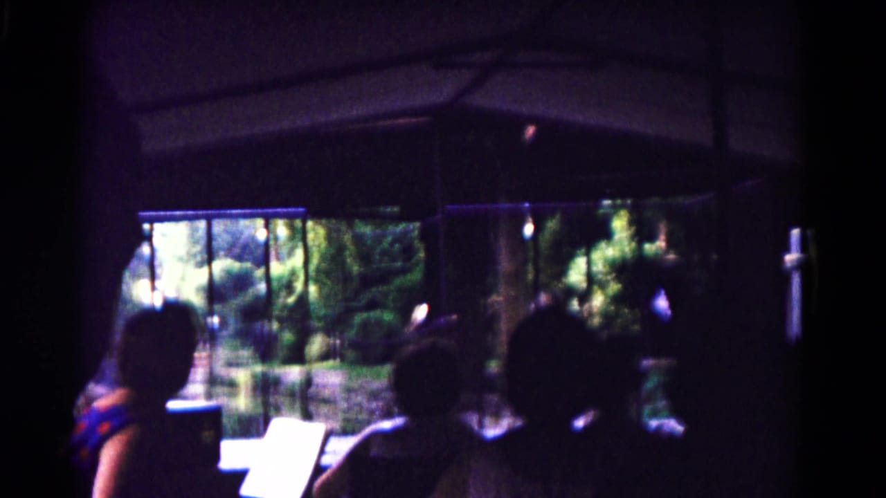 Dark ride interior with seated silhouettes facing windows and trees outside.