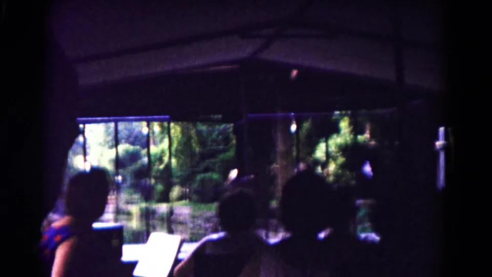 Seated visitors appear as silhouettes inside a dim ride vehicle, with green outdoor scenery visible through the windows.