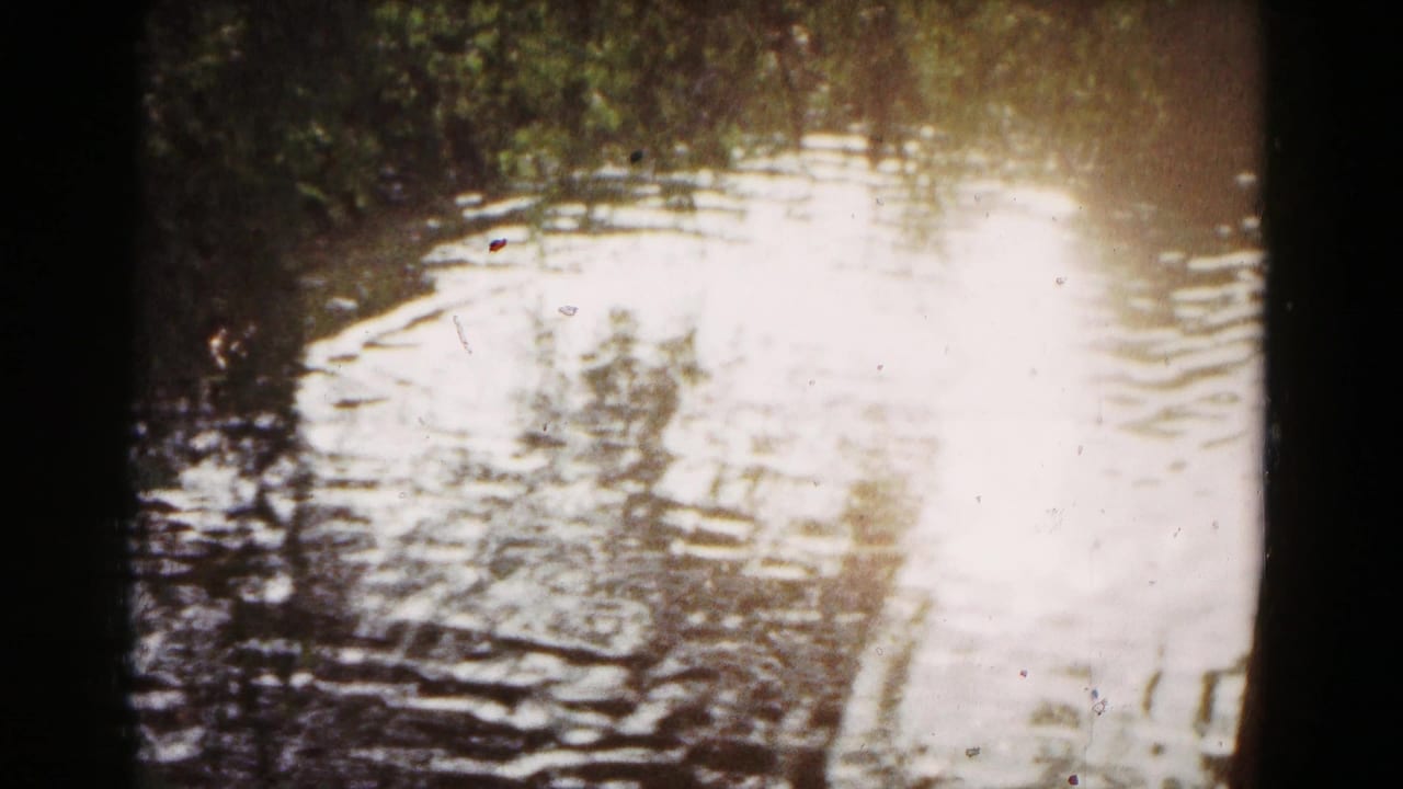 Rippling pond water with bright reflection and shaded vegetation at the edges.