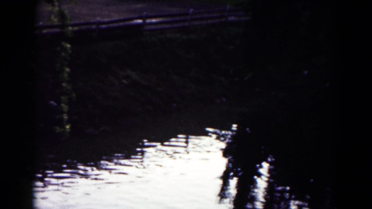 1961 Hagerstown, Maryland 8mm frame with shaded pond bank, bright water reflection, and indistinct vegetation along the edge.