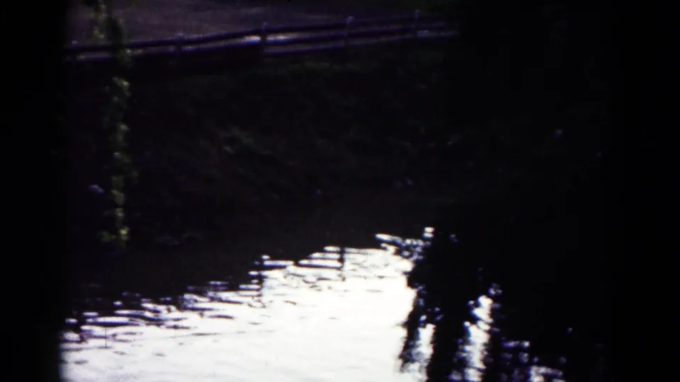 1961 Hagerstown, Maryland 8mm frame with shaded pond bank, bright water reflection, and indistinct vegetation along the edge.