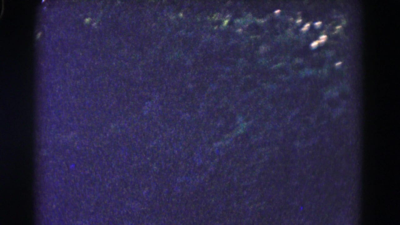 1961 Hagerstown, Maryland 8mm frame with soft blue-green film texture, dark foliage shapes, and limited visible water detail.
