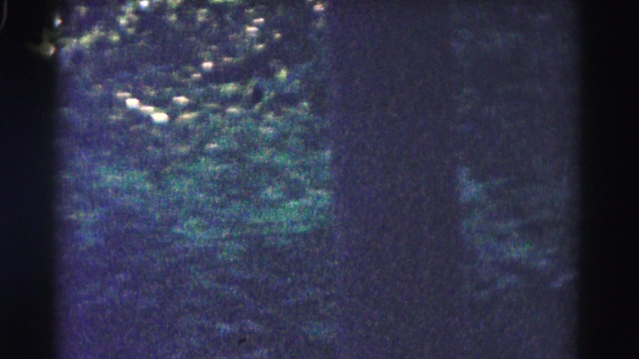 Blurry 1961 8mm road-trip view of dense trees and roadside greenery near the beginning of the Hagerstown, Maryland clip.