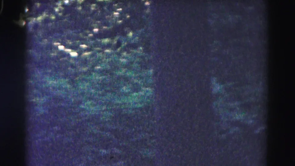 Blurry 1961 8mm road-trip view of dense trees and roadside greenery near the beginning of the Hagerstown, Maryland clip.