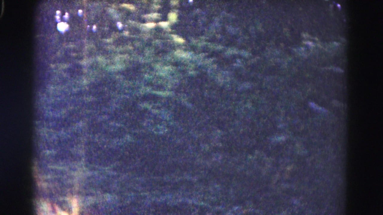Soft-focus 8mm view of trees and roadside vegetation, with heavy gate shadows and grain visible in the frame.
