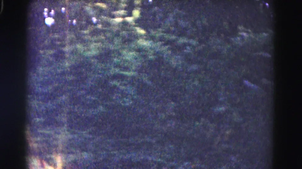 Soft-focus 8mm view of trees and roadside vegetation, with heavy gate shadows and grain visible in the frame.