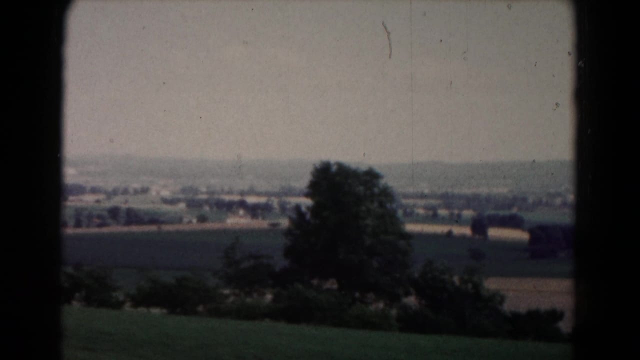 Rolling fields and a large tree with distant buildings across the horizon.