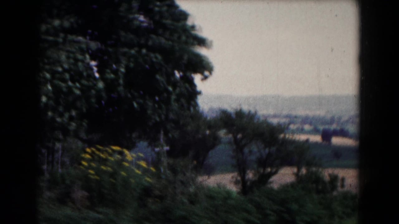 Foreground tree and flowering shrubs overlooking fields and distant town structures.