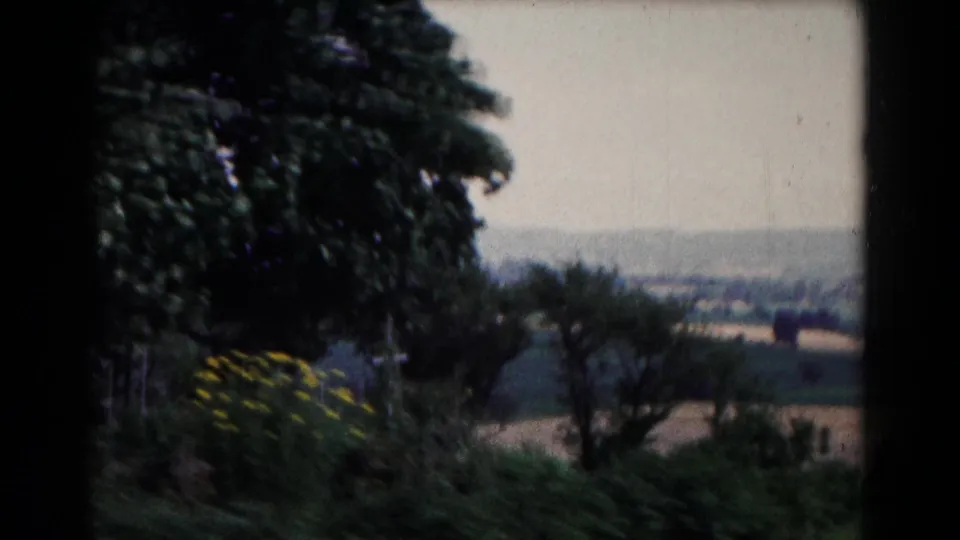 Hagerstown, Maryland landscape frame with a large tree, yellow flowers, shrubs, open fields, and distant buildings in soft 8mm color.