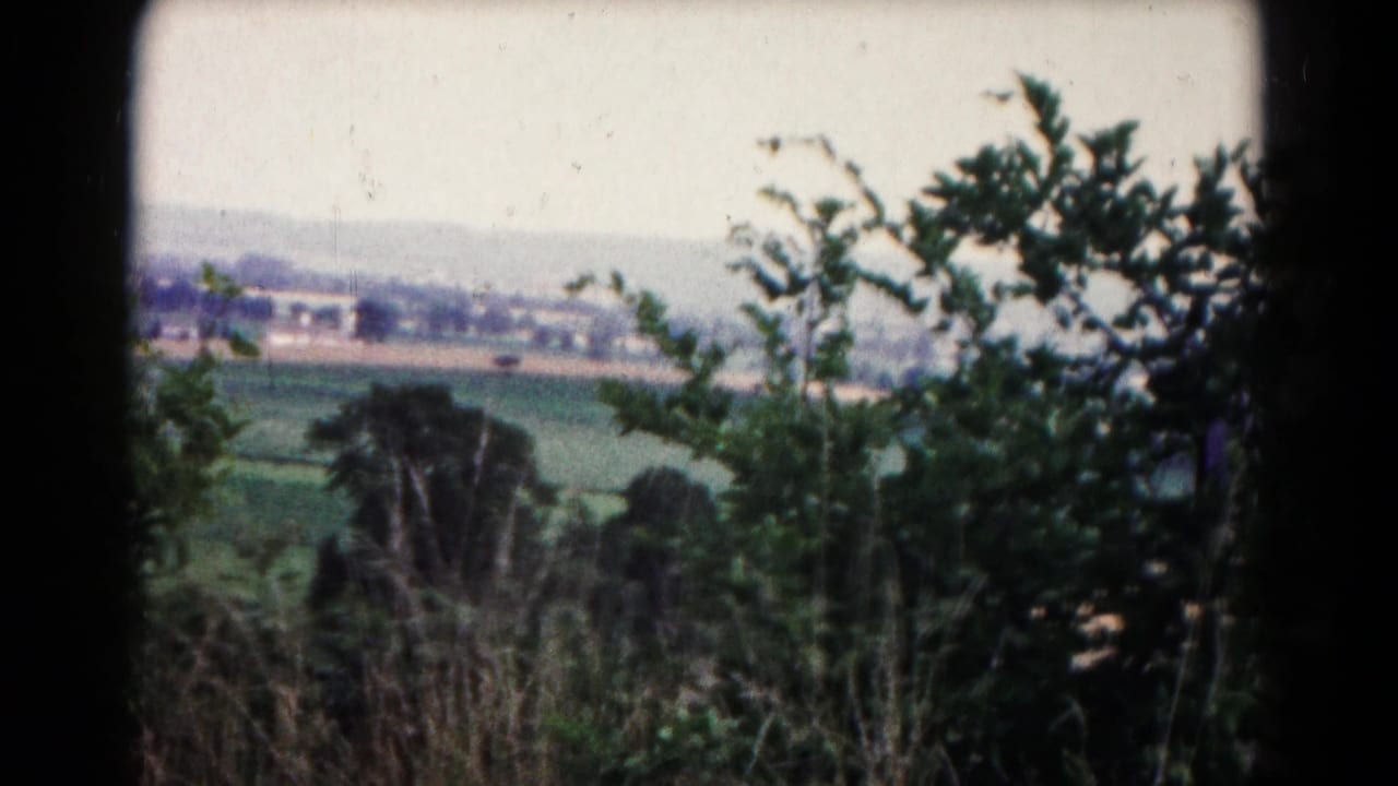 1961 rural Hagerstown view through leafy branches and tall grasses toward green fields, a tree line, and distant town buildings.