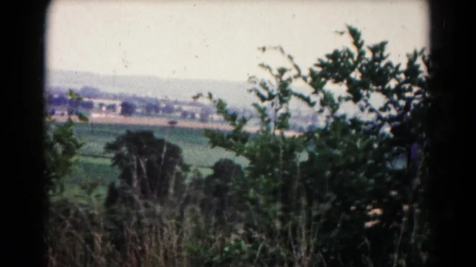 1961 rural Hagerstown view through leafy branches and tall grasses toward green fields, a tree line, and distant town buildings.