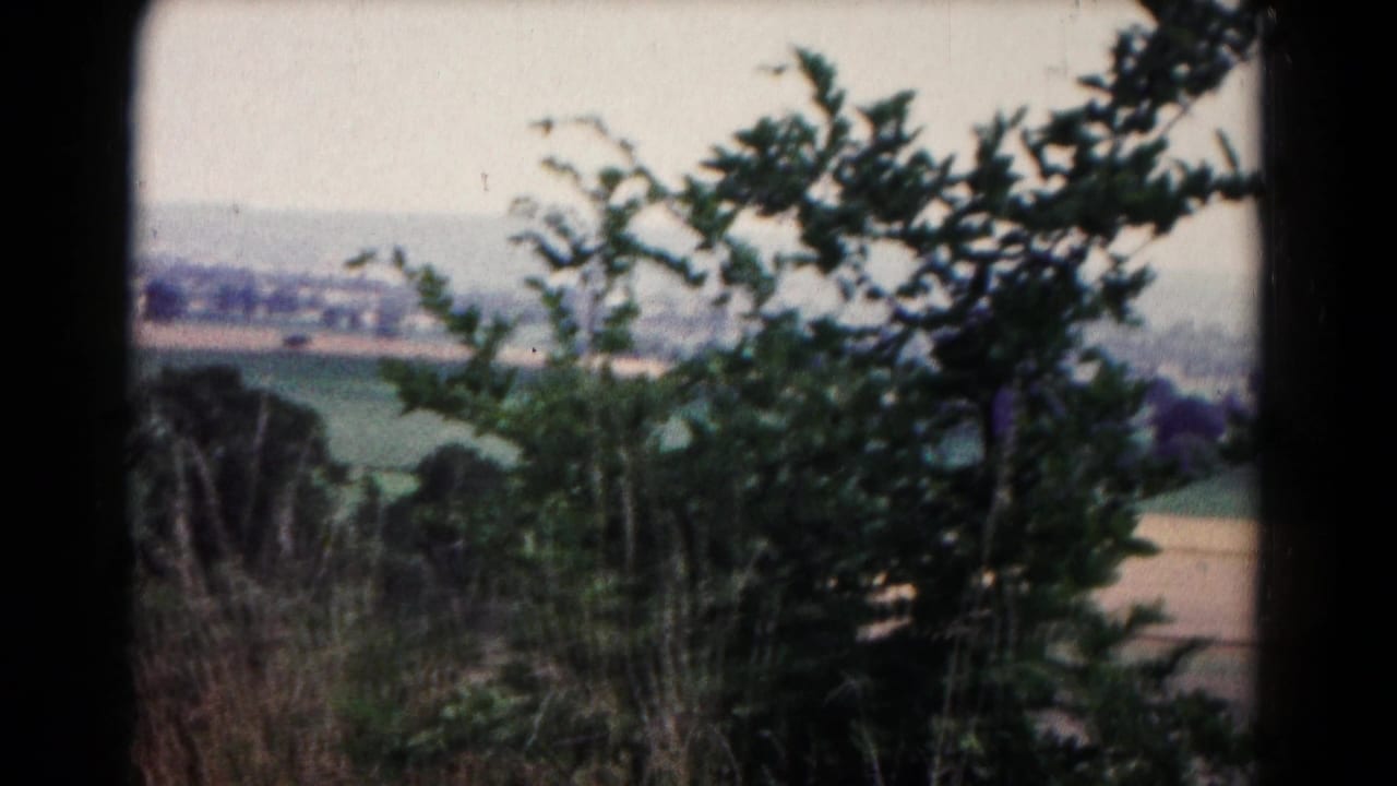 Soft 8mm frame from the Hagerstown-area panorama showing foreground branches, grasses, open fields, distant homes, and a hazy horizon.