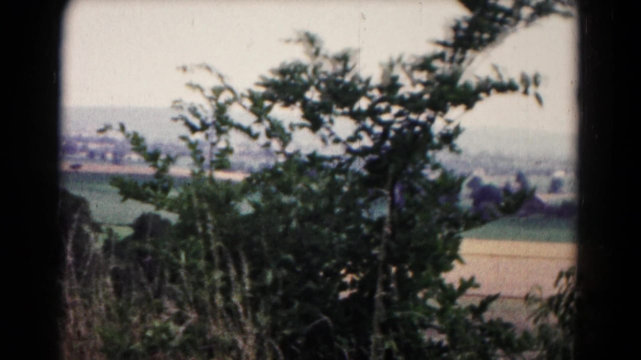 Foreground trees frame distant farmland in 1961 Hagerstown, Maryland 8mm home-movie footage.