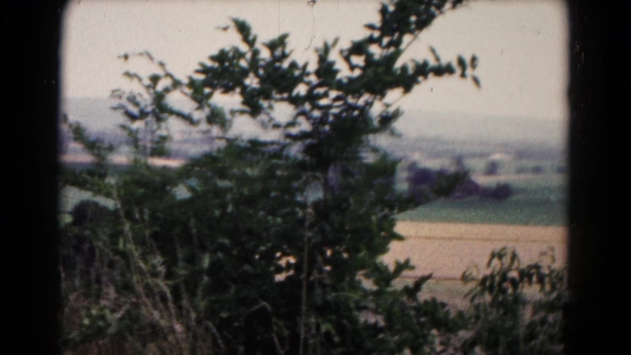 Tree branches and brush partially obscure rolling fields.