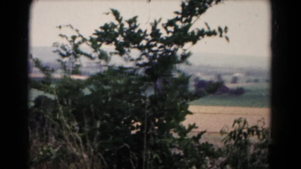 Wind-stirred trees and brush sit before distant rural fields near Hagerstown, Maryland, in 1961 8mm footage.