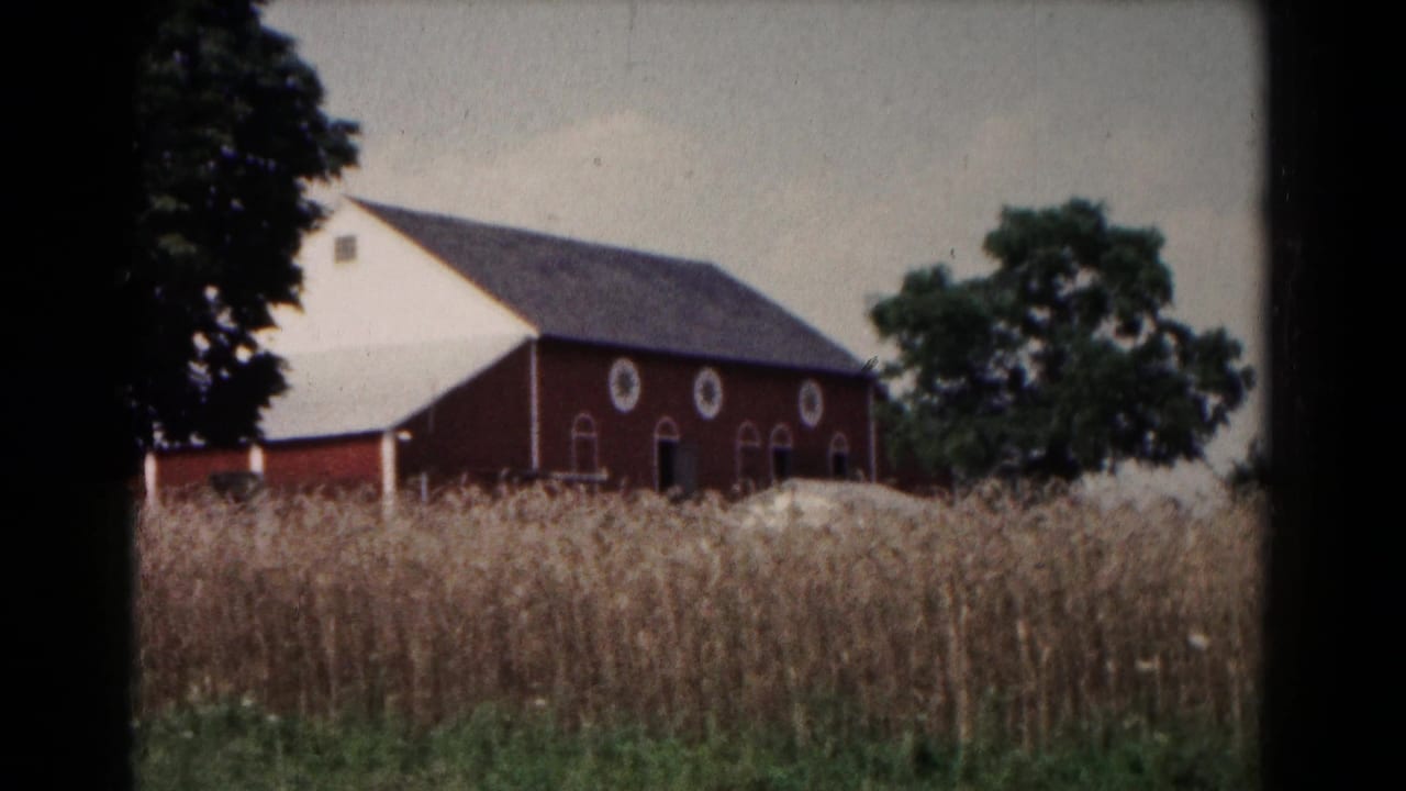 Red barn with white trim beyond a tall hay field and trees.
