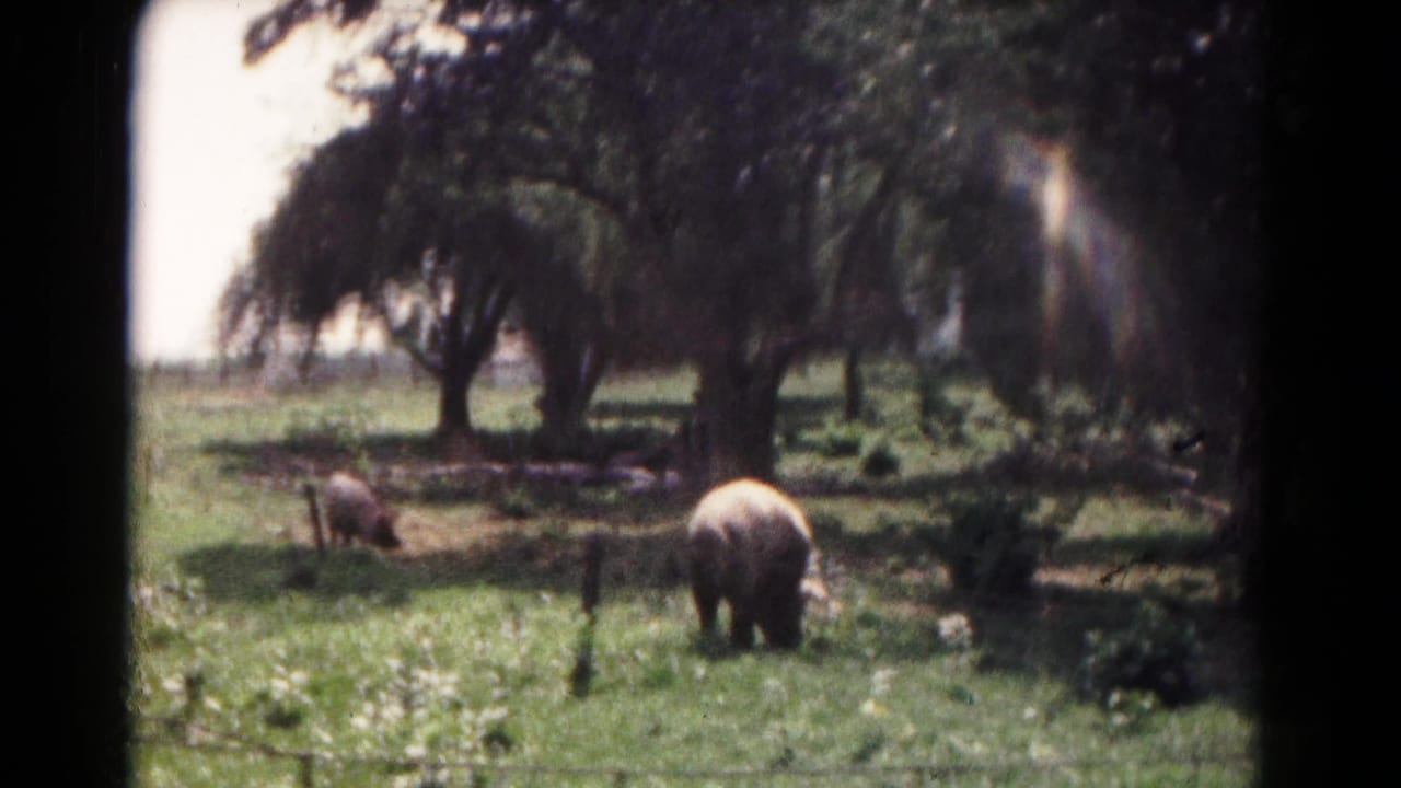 Large animals graze among trees in a bright green field.
