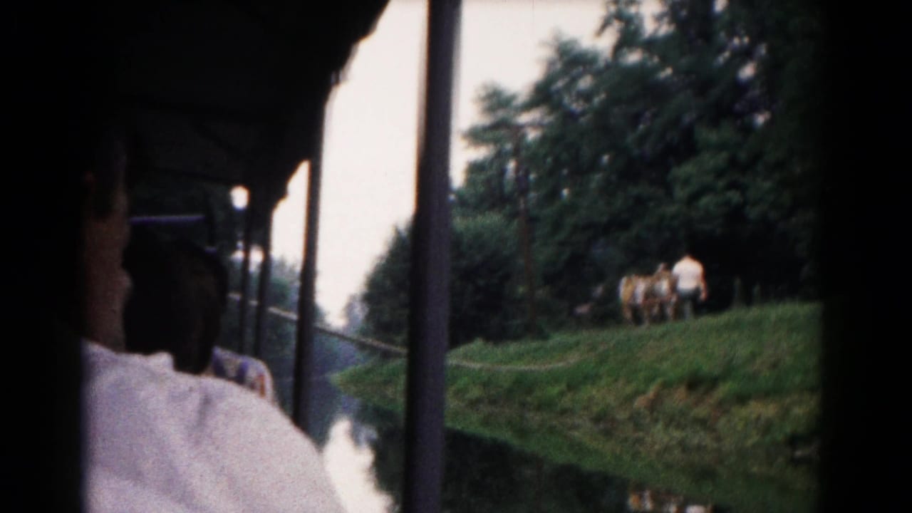 View from a train past a green hillside, with passengers in shadow and horses ahead.