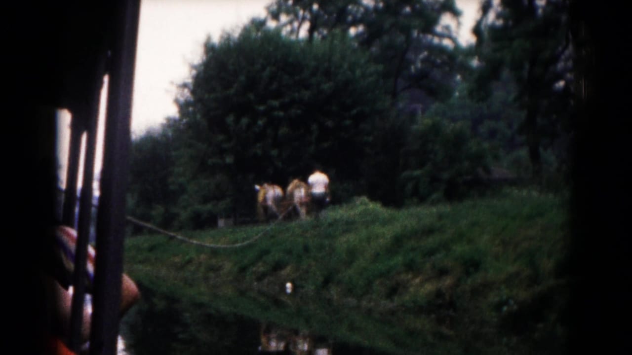Cows and people on a grassy riverbank seen past dark ferry posts.