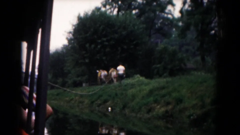 1961 Hagerstown-area home-movie frame showing cows and people on a green riverbank viewed from a ferry or vehicle window.