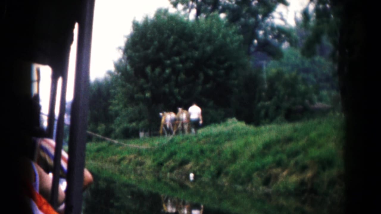 Rural Maryland riverbank view with cows and people near dense trees, filmed from a ferry-side perspective in 1961.